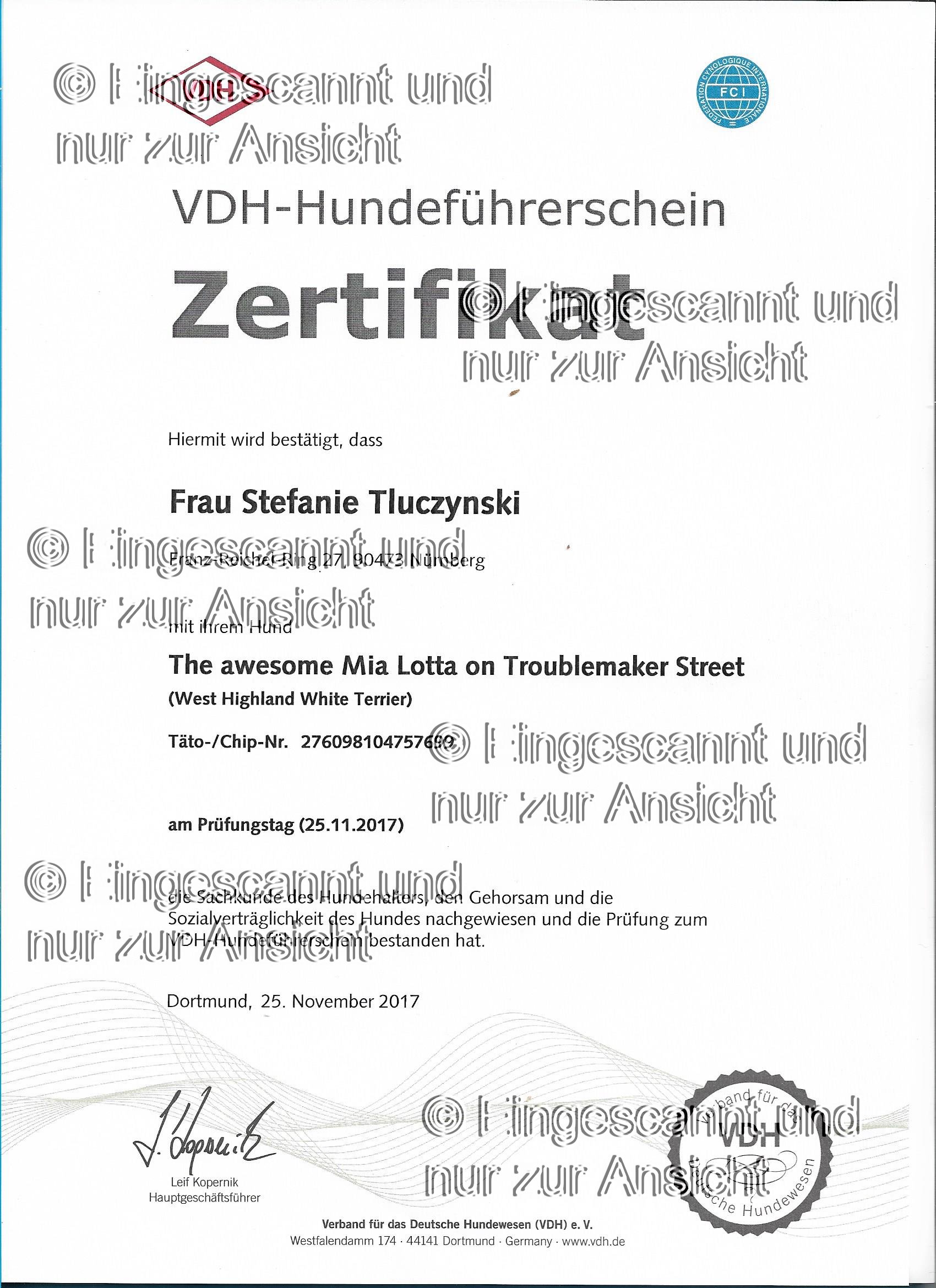 Urkunde VDH-Hundeführerschein