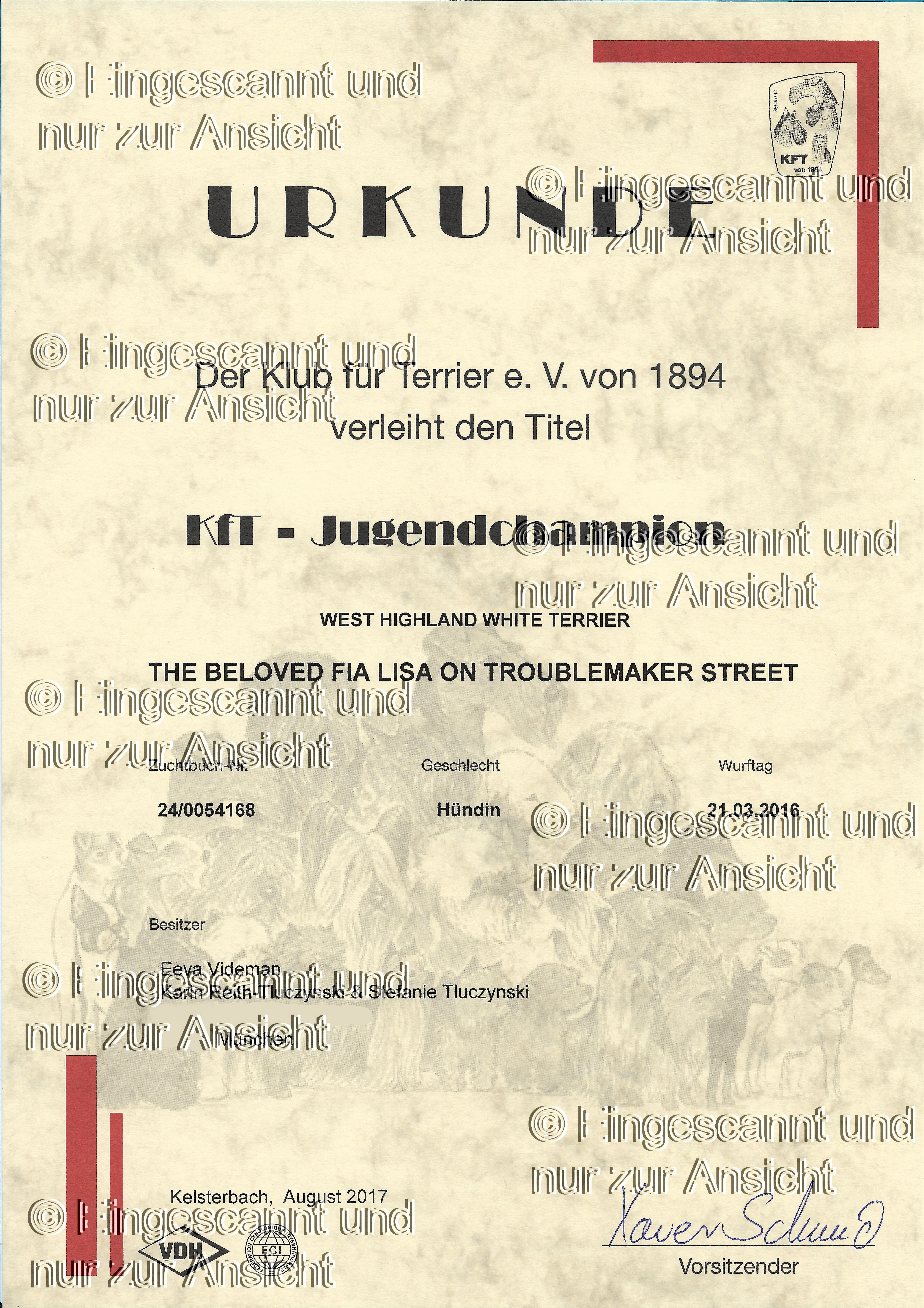 Deutscher Jugendchampion KfT