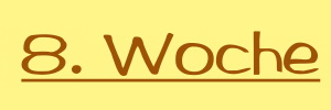 A-Wurf - 8. Woche